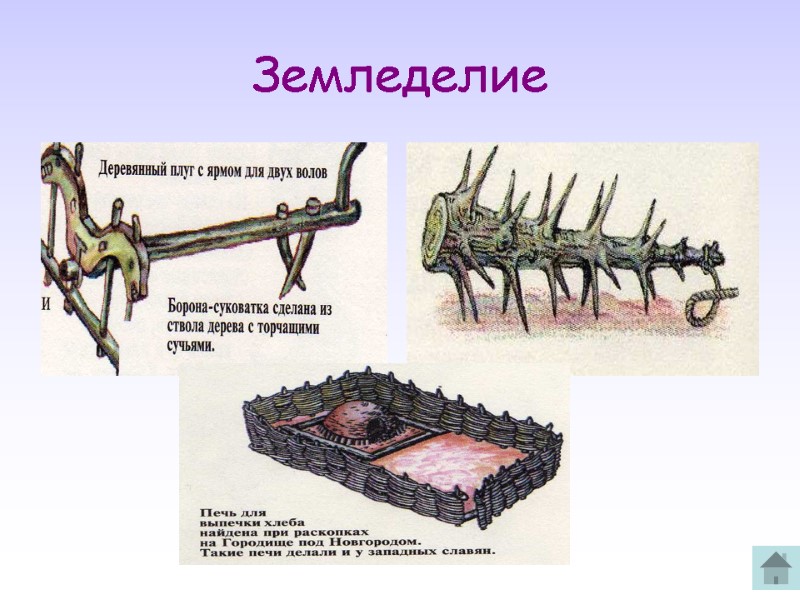 Земледелие